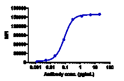 Novus Biologicals EGFR Antibody (cetuximab) - Chimeric, Novus Biologicals:Anticorps:Anticorps