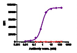 Novus Biologicals CD38 Antibody (isatuximab) - Humanized, Novus Biologicals