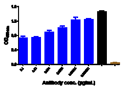 Novus Biologicals CD4 Antibody (ibalizumab) - Humanized, IgG4SP, Novus
