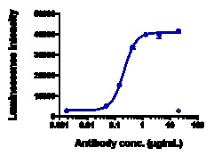 Novus Biologicals FGFR2 Antibody (bemarituzumab) - Humanized, Novus Biologicals:Anticorps:Anticorps