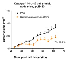 Novus Biologicals FGFR2 Antibody (bemarituzumab) - Humanized, Novus Biologicals:Anticorps:Anticorps