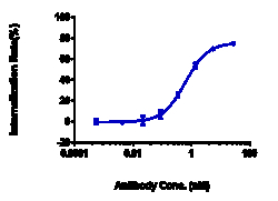 Novus Biologicals FOLR1 Antibody (mirvetuximab) - Humanized, Novus Biologicals