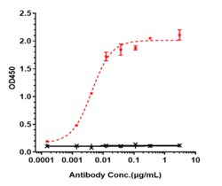 Novus Biologicals ErbB2/Her2 Antibody (disitamab) - Humanized, Novus Biologicals