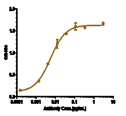 Novus Biologicals beta Amyloid Antibody (Amgen patent anti-beta amyloid)