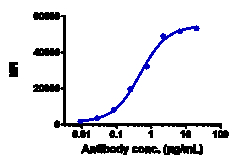 Novus Biologicals CD20 Antibody (ocrelizumab) - Humanized, Novus Biologicals 50 &mu;g | Buy Online | Novus Biologicals&trade; | Fisher Scientific