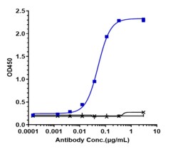 Novus Biologicals TSLP Antibody (tezepelumab), Novus Biologicals:Antibodies:Primary