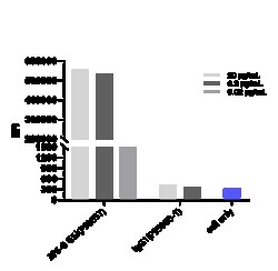 Novus Biologicals Adenosine A2aR Antibody (3F6-9G5) - Humanized, Novus