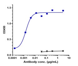 Novus Biologicals EGFR Antibody (necitumumab), Novus Biologicals:Antibodies:Primary
