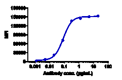 Novus Biologicals EGFR Antibody (necitumumab), Novus Biologicals:Antibodies:Primary