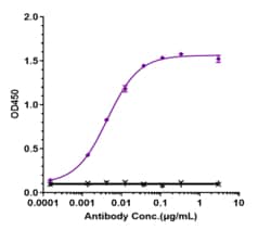 Novus Biologicals Siglec-3/CD33 Antibody (gemtuzumab-CLM) - Humanized,