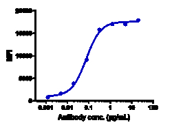 Novus Biologicals P-Cadherin Antibody (PF-03732010), Novus Biologicals