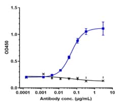 Novus Biologicals SLITRK6 Antibody (sirtratumab) - IgG2SA, Novus Biologicals:Antibodies:Primary