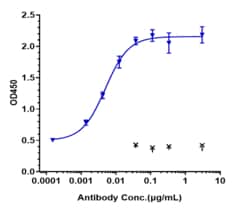 Novus Biologicals FCRN/FCGRT Antibody (nipocalimab), Novus Biologicals