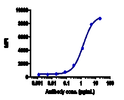 Novus Biologicals BCMA/TNFRSF17 Antibody (belantamab), Novus Biologicals:Antibodies:Primary
