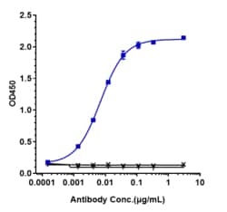 Novus Biologicals FCRL5/FcRH5/IRTA2 Antibody (cevostamab), Novus Biologicals