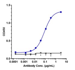 Novus Biologicals CD27 Ligand/TNFSF7/CD70 Antibody (cusatuzumab) - Humanized,