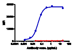 Novus Biologicals CD27 Ligand/TNFSF7/CD70 Antibody (cusatuzumab) - Humanized,