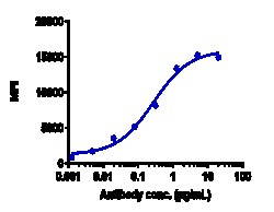 Novus Biologicals CD27 Ligand/TNFSF7/CD70 Antibody (cusatuzumab) - Humanized,