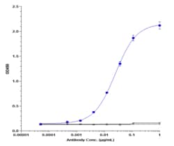 Novus Biologicals CD40/TNFRSF5 Antibody (bleselumab) - IgG4PE, Novus Biologicals