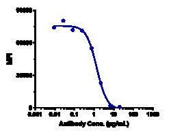 Novus Biologicals CD40/TNFRSF5 Antibody (bleselumab) - IgG4PE, Novus Biologicals