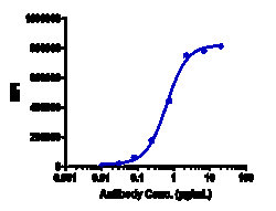 Novus Biologicals CD40/TNFRSF5 Antibody (bleselumab) - IgG4PE, Novus Biologicals