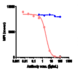 Novus Biologicals SIRP alpha/CD172a Antibody (Hospital for Sick Children