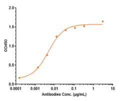 Novus Biologicals Tau Antibody (gosuranemab) - Chimeric, IgG4SP, Novus