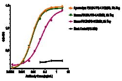 Novus Biologicals PD-1 Antibody (nofazinlimab) - Humanized, IgG4SP, Novus