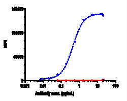 Novus Biologicals Coagulation Factor III/Tissue Factor Antibody (tisotumab),