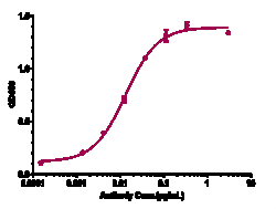 Novus Biologicals beta Amyloid Antibody (U.Zurich patent anti-Amyloid Beta)