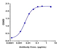 Novus Biologicals CTLA-4 Antibody (tremelimumab), Novus Biologicals:Antibodies:Primary
