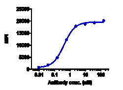 Novus Biologicals TREM1 Antibody (PY159) - Humanized, Novus Biologicals:Antibodies:Primary