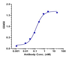 Novus Biologicals TRAILR2/TNFRSF10B Antibody (drozitumab), Novus Biologicals