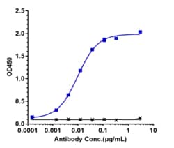Novus Biologicals CD40/TNFRSF5 Antibody (selicrelumab) - IgG2SA, Novus