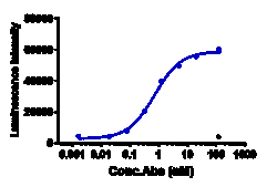 Novus Biologicals Claudin-6 Antibody (IMAB027) - Humanized, Novus Biologicals:Antibodies:Primary