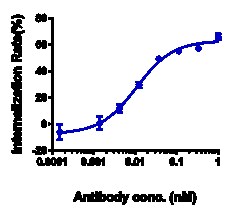 Novus Biologicals Claudin-6 Antibody (IMAB027) - Humanized, Novus Biologicals:Antibodies:Primary