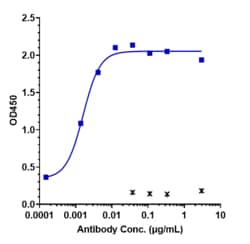 Novus Biologicals Claudin-6 Antibody (IMAB027) - Humanized, Novus Biologicals:Antibodies:Primary