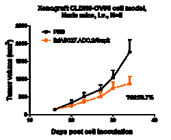 Novus Biologicals Claudin-6 Antibody (IMAB027) - Humanized, Novus Biologicals:Antibodies:Primary