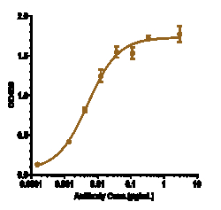 Novus Biologicals beta Amyloid Antibody (Georgetown U. patent anti-Amyloid