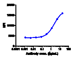 Novus Biologicals Cannabinoid R1/CB1/CNR1 Antibody (GFB-024) - Humanized,