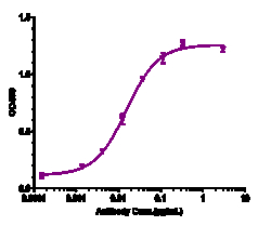 Novus Biologicals GM-CSF Antibody (otilimab), Novus Biologicals:Antibodies:Primary