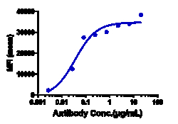 Novus Biologicals OSMR beta Antibody (vixarelimab) - IgG4SP, Novus Biologicals