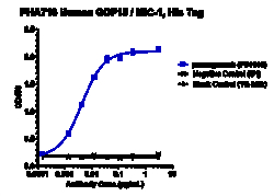 Novus Biologicals GDF-15 Antibody (ponsegromab) - Humanized, Novus Biologicals