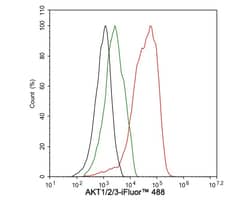 AKT1/2/3 Antibody (JE75-09), Novus Biologicals 100 &mu;L; Unconjugated:Antibodies,