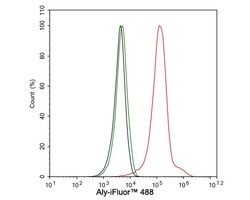 Aly Antibody (JE36-45), Novus Biologicals 100 &mu;L; Unconjugated:Antibodies,