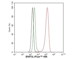 BNIP3L Antibody (JE59-98), Novus Biologicals 100 &mu;L; Unconjugated:Antibodies,