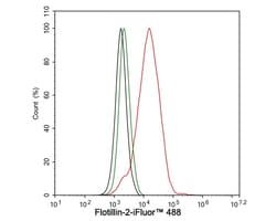 Flotillin 2 Antibody (PSH03-41), Novus Biologicals 100 &mu;L; Unconjugated:Antibodies,