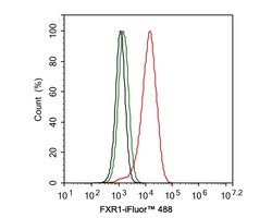 FXR1 Antibody (JE40-57), Novus Biologicals 100 &mu;L; Unconjugated:Antibodies,