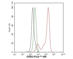 GRB2 Antibody (JE49-73), Novus Biologicals 100 &mu;L; Unconjugated:Antibodies,