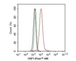 HSF1 Antibody (JE44-79), Novus Biologicals 100 &mu;L; Unconjugated:Antibodies,